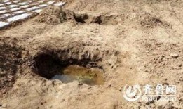 蒙阴县最新爆料信息网,揭秘当地热点事件与民生动态